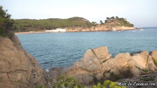 Ради красивого момента в попку даже позволила