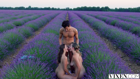 Рай на земле - это примерно вот так