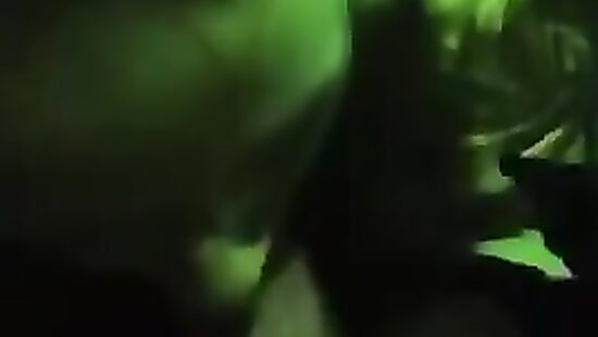 Подруга сочно отсосала в клубе.