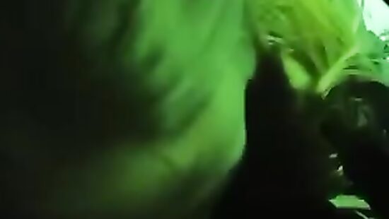 Подруга сочно отсосала в клубе.