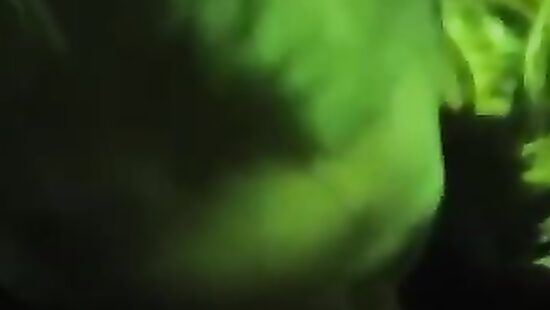 Подруга сочно отсосала в клубе.