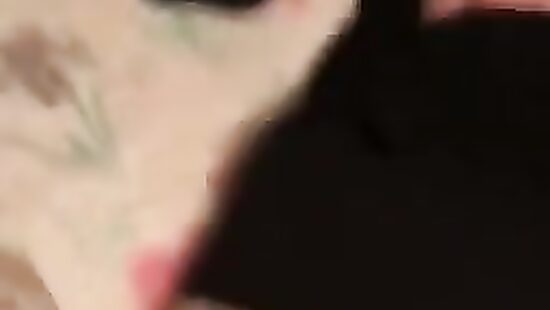 Прекрасное окончание нудного вечера.