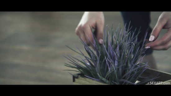 Жена домохозяйка забрала у мужа книгу, предложив взамен своё упругое тело