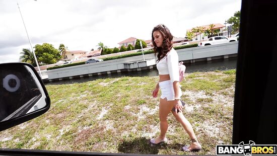 Из солнечной Тампы