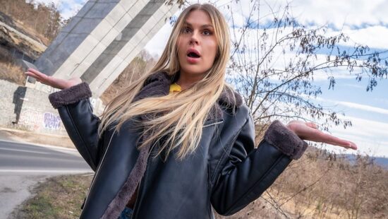 Золотой автостоп