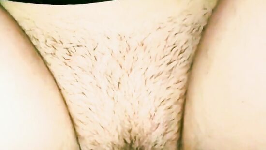 Моё новое™