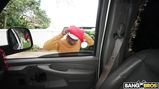 На поиски рождественских членов