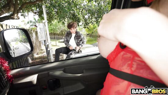 На поиски рождественских членов