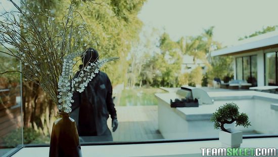 Воришка в маске загнул раком красивую хозяйку и украл у неё честь