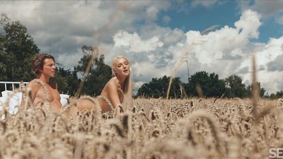 Времена года: Лето