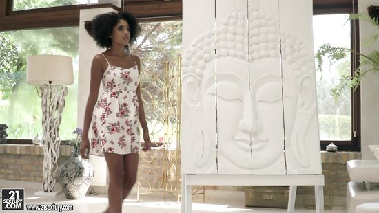 Оральные игры красивой негритянки и её белого любовника