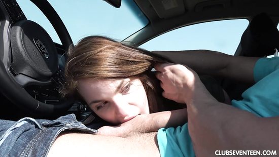 Попутчица согласилась рассчитаться за проезд сексом на природе