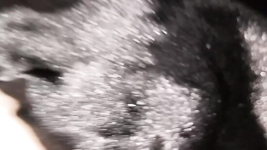 Кажется пора устроить хороший трах...)