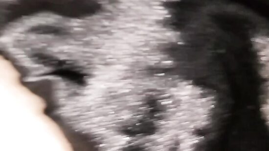 Кажется пора устроить хороший трах...)