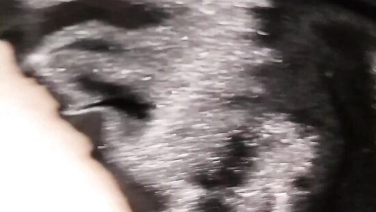 Кажется пора устроить хороший трах...)