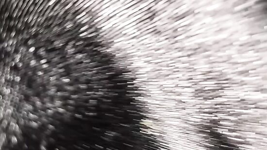 Кажется пора устроить хороший трах...)