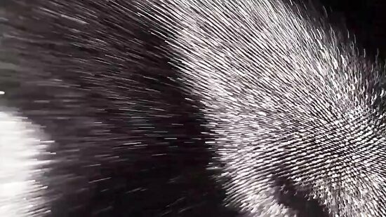 Кажется пора устроить хороший трах...)