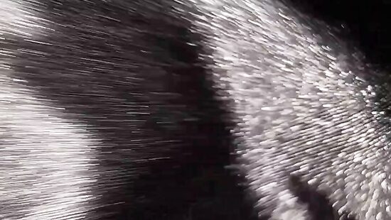 Кажется пора устроить хороший трах...)