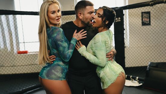 Свободные 3: Октагон на троих