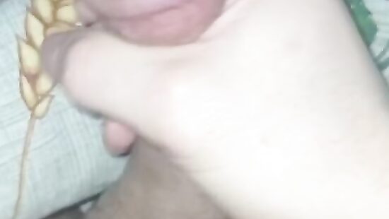 На вас мои сладкие