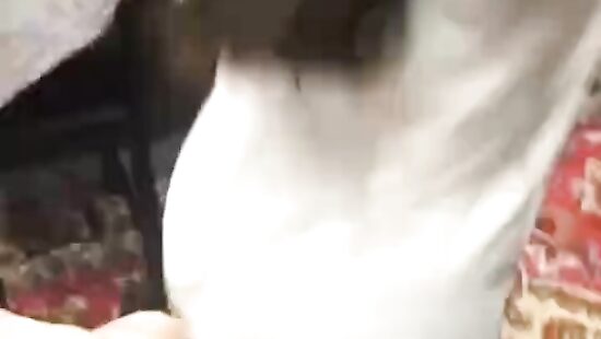 Трахнул подругу, родители уехали на дачу