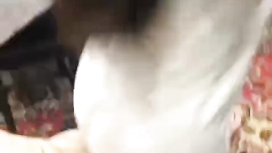 Трахнул подругу, родители уехали на дачу