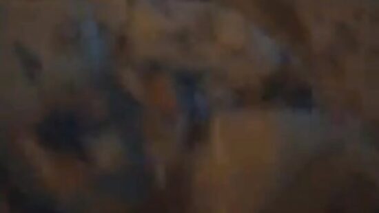 Добрая соседка не оставит в беде))