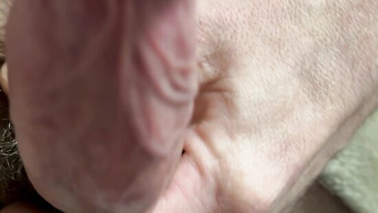 Член на чиле