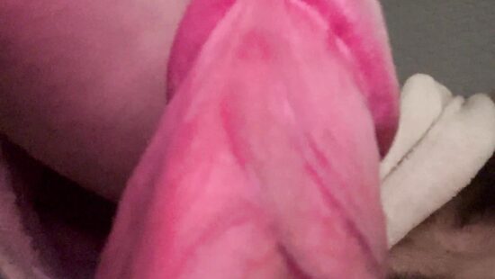 Член на чиле 