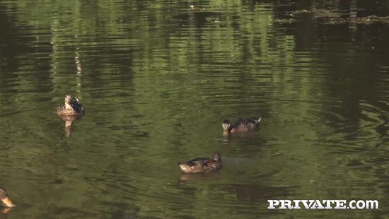 После прогулки бородач отымел русскую девчонку и обкончал ей личико