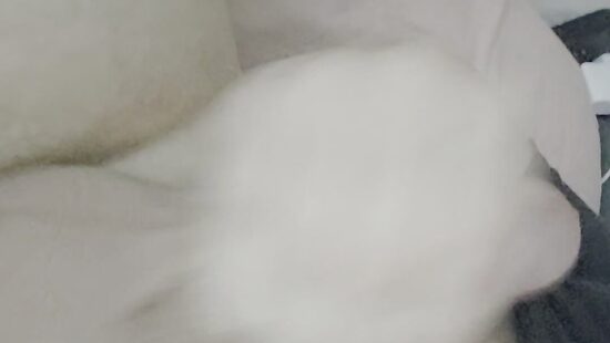 Люблю когда мною командуют